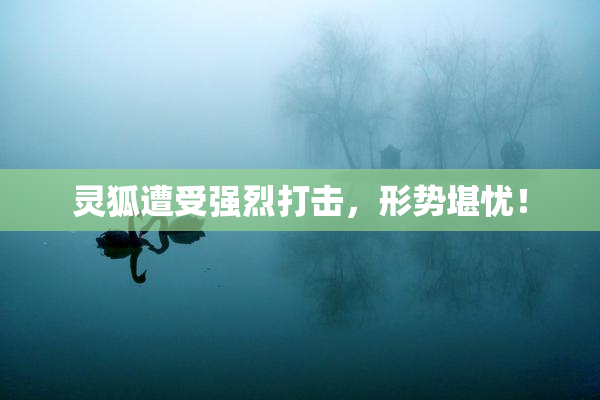 灵狐遭受强烈打击，形势堪忧！