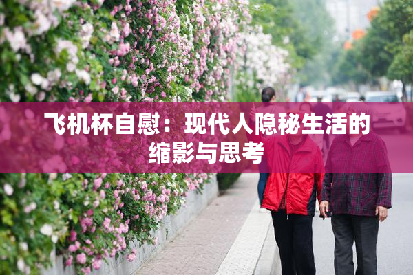 飞机杯自慰：现代人隐秘生活的缩影与思考