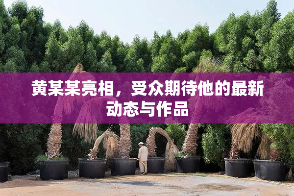 黄某某亮相，受众期待他的最新动态与作品