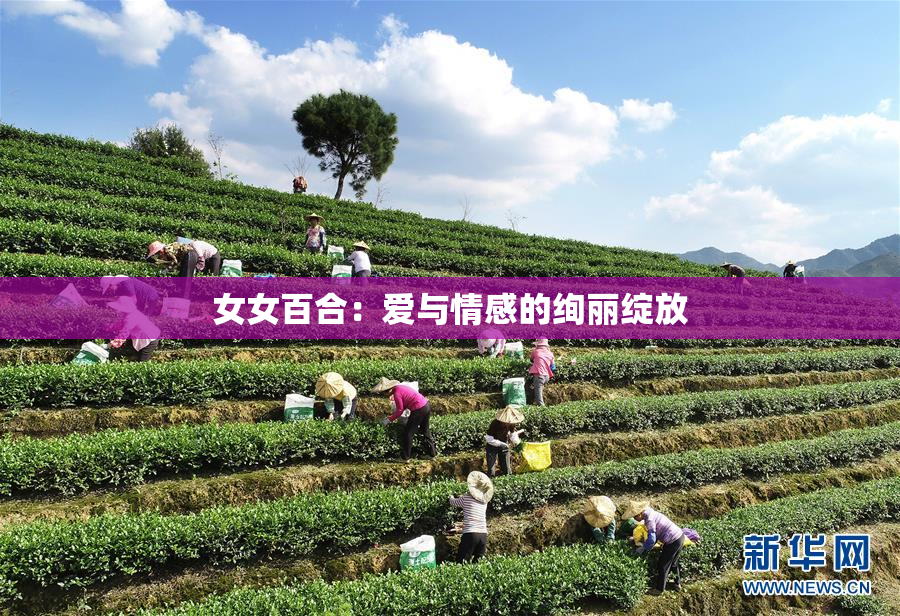 女女百合：爱与情感的绚丽绽放