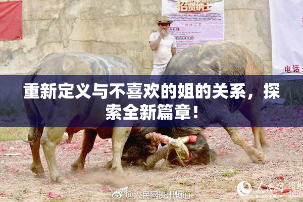 重新定义与不喜欢的姐的关系，探索全新篇章！