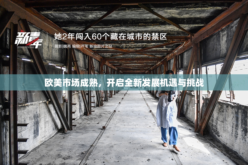 欧美市场成熟，开启全新发展机遇与挑战