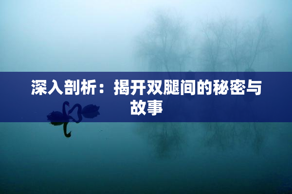 深入剖析：揭开双腿间的秘密与故事
