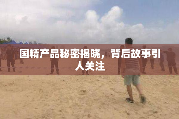 国精产品秘密揭晓，背后故事引人关注