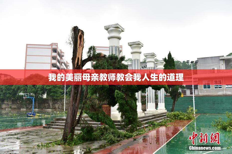 我的美丽母亲教师教会我人生的道理