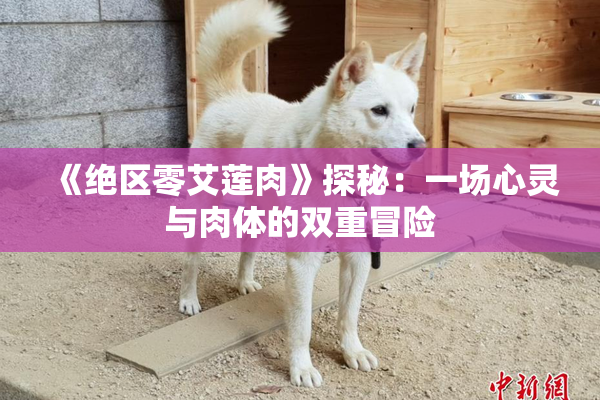 《绝区零艾莲肉》探秘：一场心灵与肉体的双重冒险