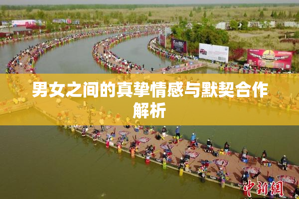 男女之间的真挚情感与默契合作解析