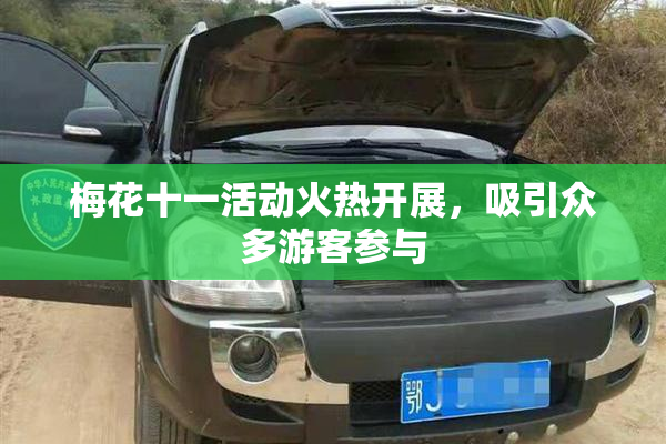 梅花十一活动火热开展，吸引众多游客参与