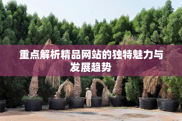 重点解析精品网站的独特魅力与发展趋势