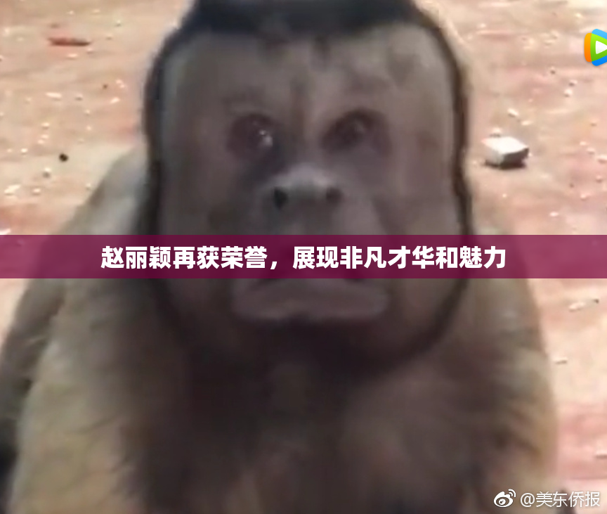 赵丽颖再获荣誉，展现非凡才华和魅力