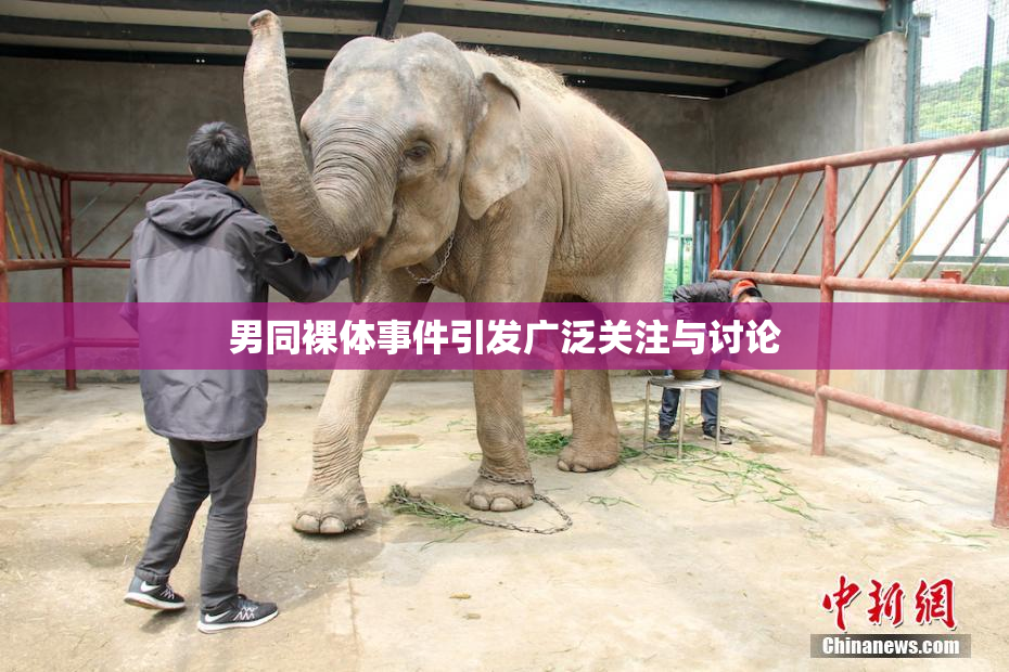 男同裸体事件引发广泛关注与讨论
