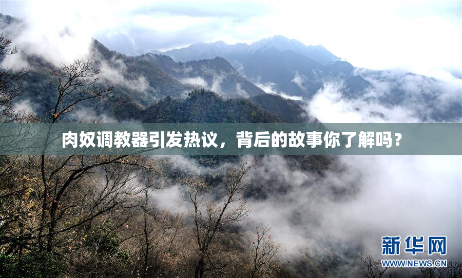 肉奴调教器引发热议，背后的故事你了解吗？