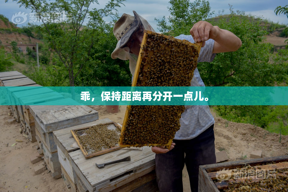 乖，保持距离再分开一点儿。