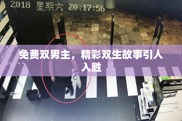 免费双男主，精彩双生故事引人入胜