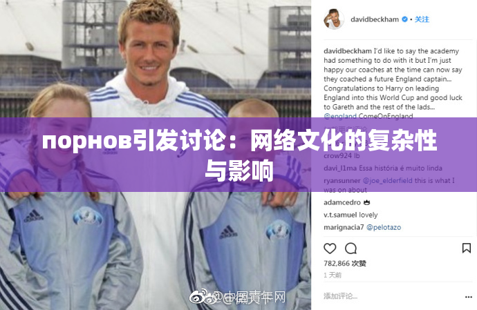 порнов引发讨论：网络文化的复杂性与影响