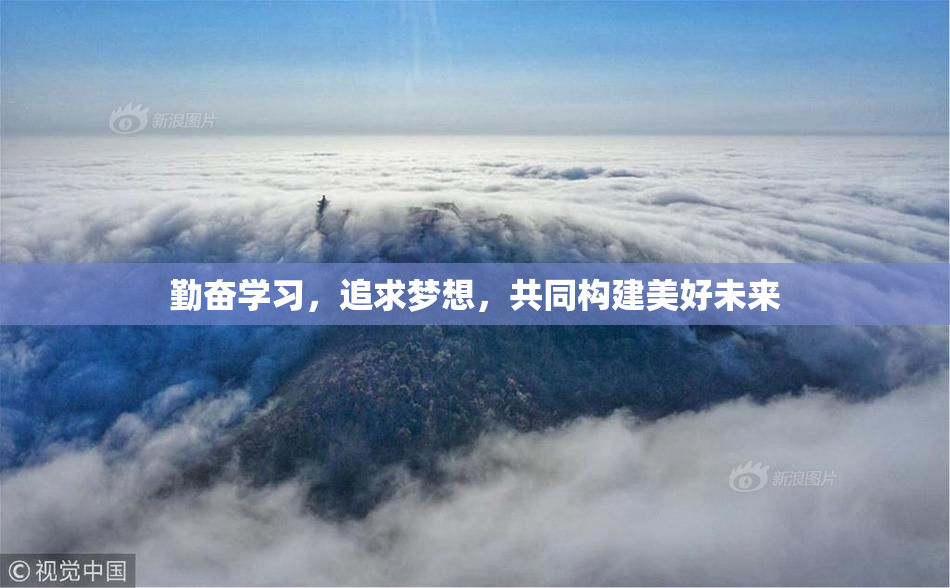 勤奋学习，追求梦想，共同构建美好未来