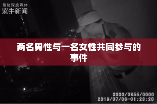 两名男性与一名女性共同参与的事件