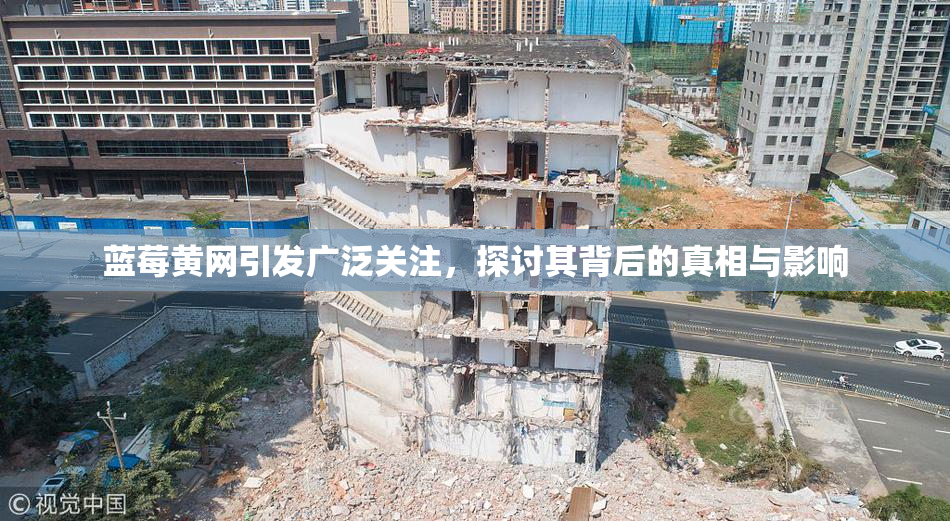 蓝莓黄网引发广泛关注，探讨其背后的真相与影响