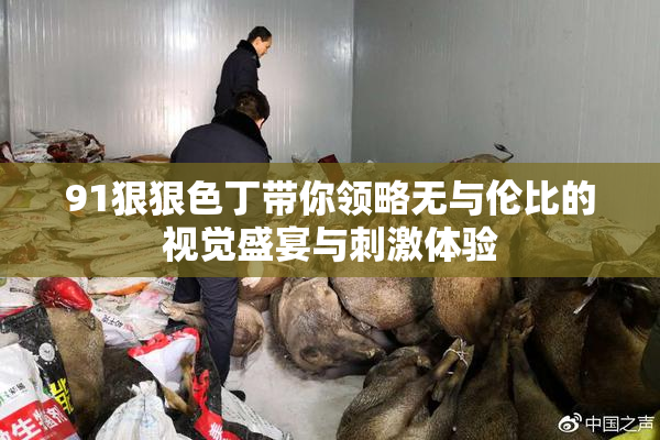 91狠狠色丁带你领略无与伦比的视觉盛宴与刺激体验