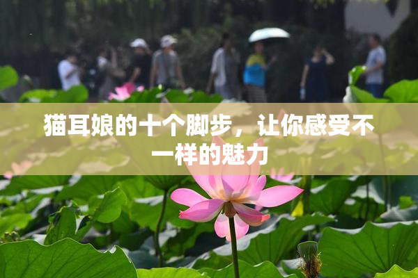 猫耳娘的十个脚步，让你感受不一样的魅力