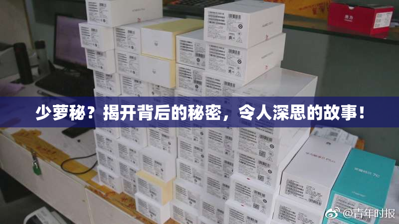 少萝秘？揭开背后的秘密，令人深思的故事！