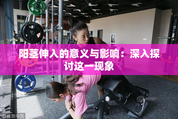 阳茎伸入的意义与影响：深入探讨这一现象