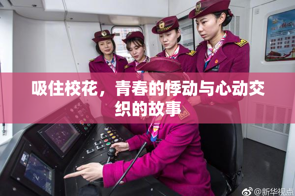 吸住校花，青春的悸动与心动交织的故事
