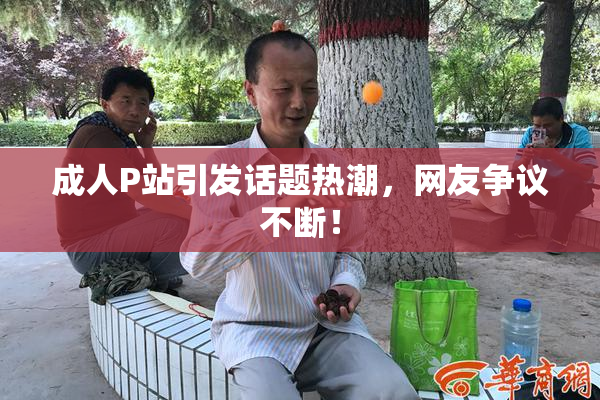 成人P站引发话题热潮，网友争议不断！