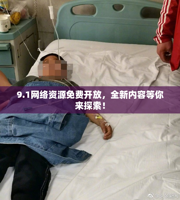9.1网络资源免费开放，全新内容等你来探索！