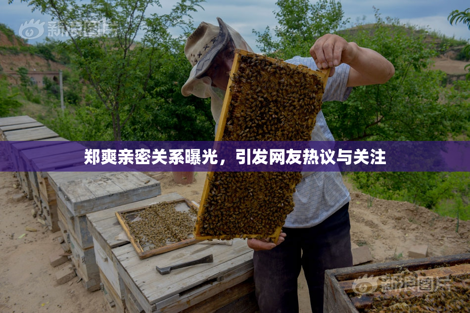郑爽亲密关系曝光，引发网友热议与关注
