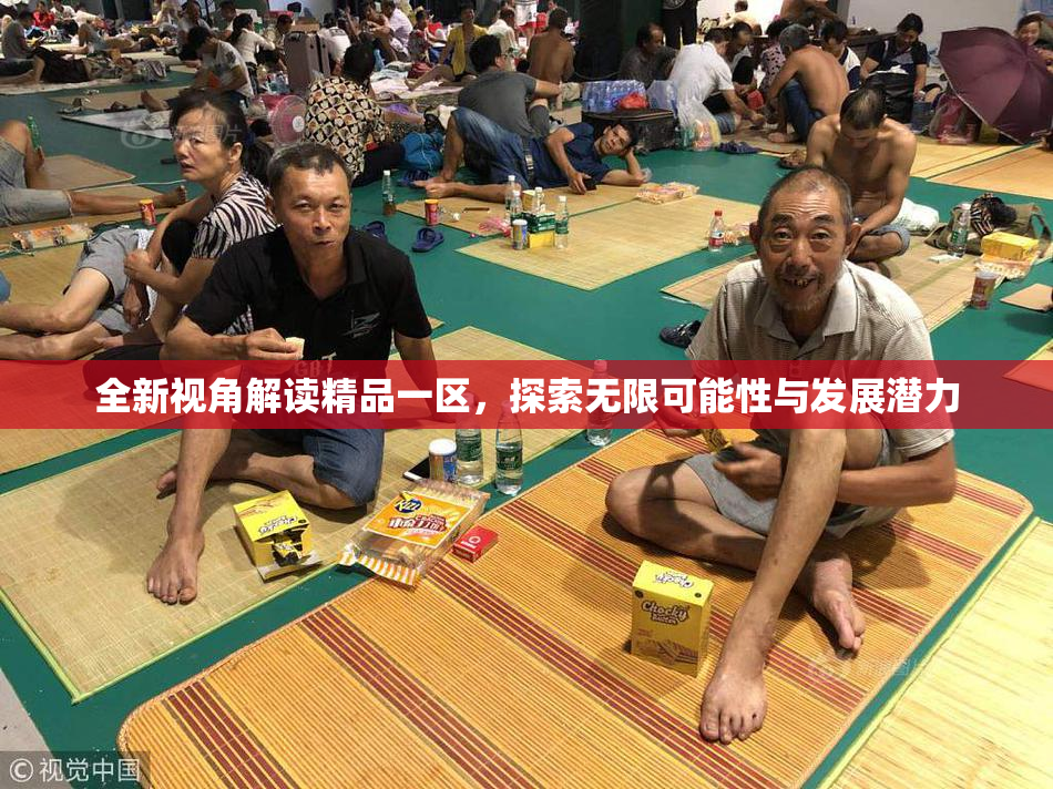 全新视角解读精品一区，探索无限可能性与发展潜力