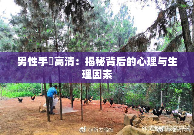 男性手婬高清：揭秘背后的心理与生理因素