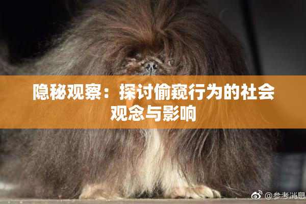 隐秘观察：探讨偷窥行为的社会观念与影响