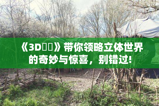 《3D姉弚》带你领略立体世界的奇妙与惊喜，别错过!