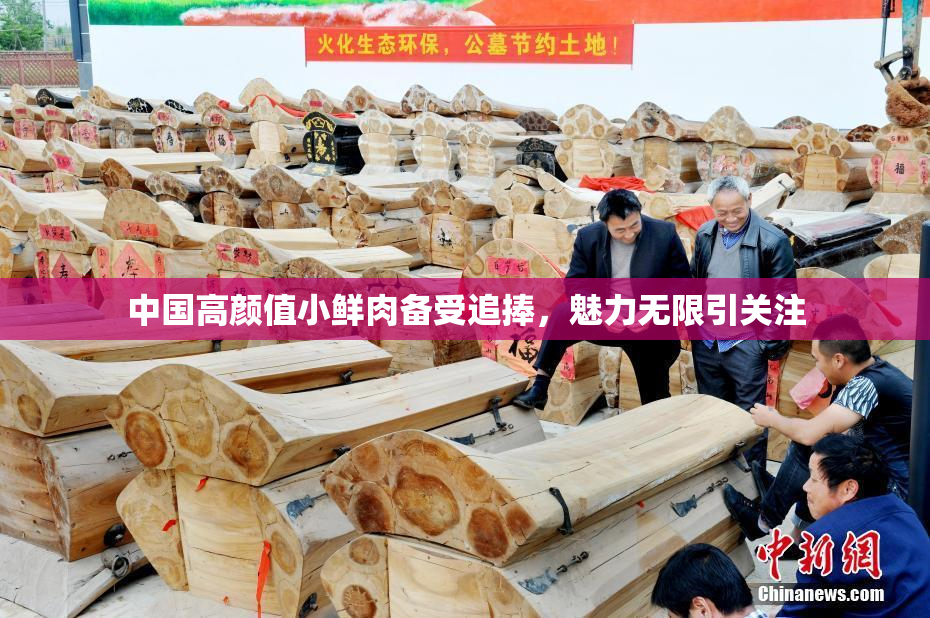 中国高颜值小鲜肉备受追捧，魅力无限引关注
