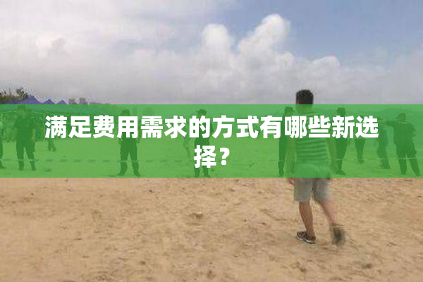 满足费用需求的方式有哪些新选择？