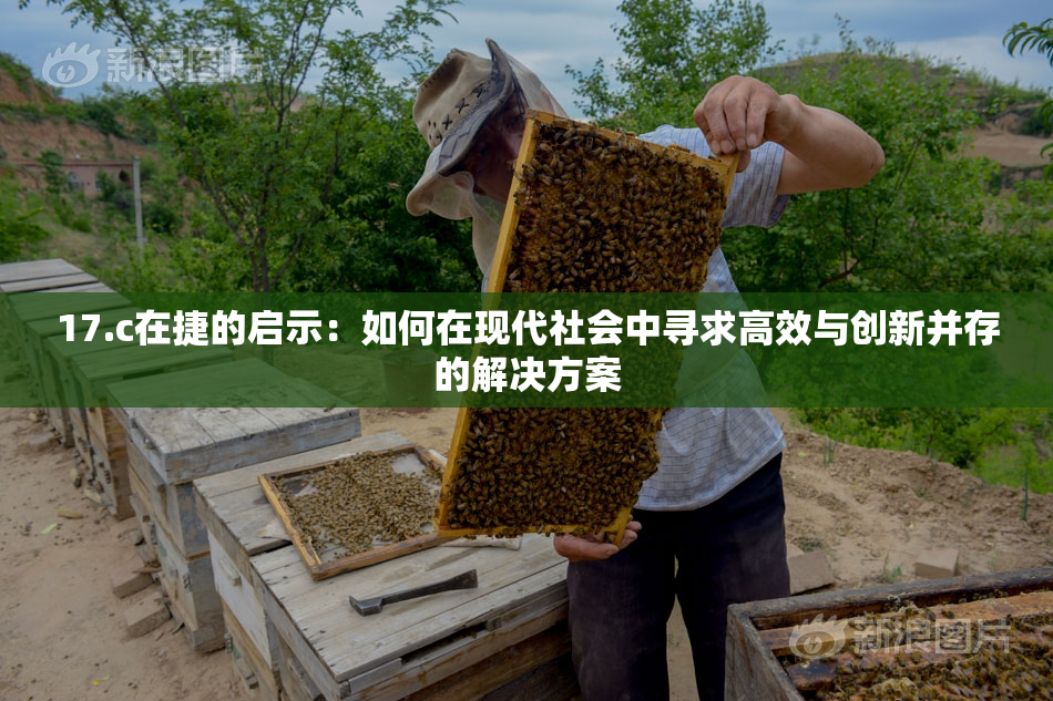 17.c在捷的启示：如何在现代社会中寻求高效与创新并存的解决方案