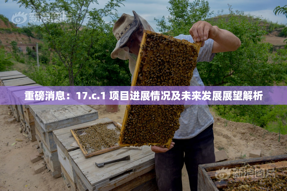 重磅消息：17.c.1 项目进展情况及未来发展展望解析