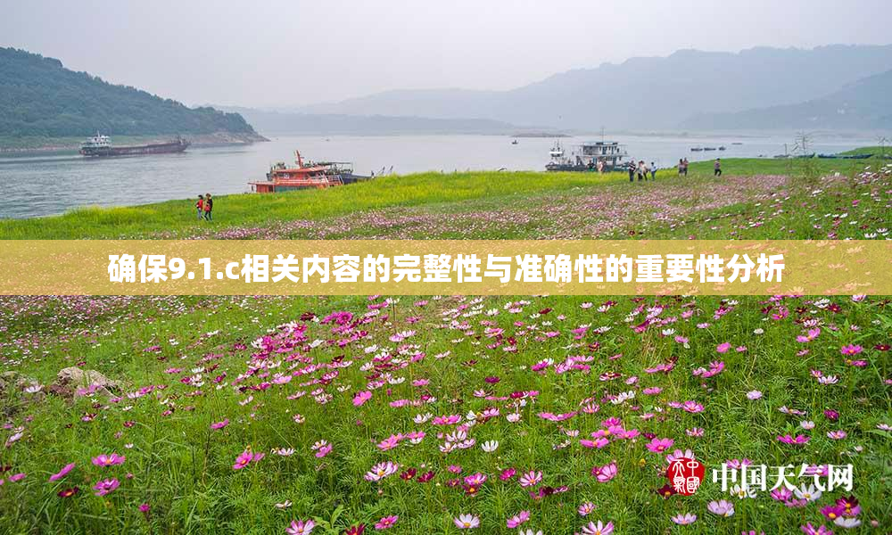 确保9.1.c相关内容的完整性与准确性的重要性分析