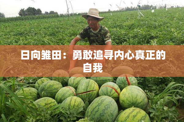 日向雏田：勇敢追寻内心真正的自我
