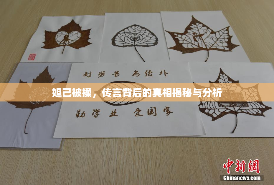 妲己被揉，传言背后的真相揭秘与分析