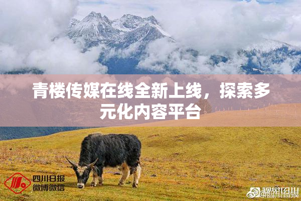 青楼传媒在线全新上线，探索多元化内容平台