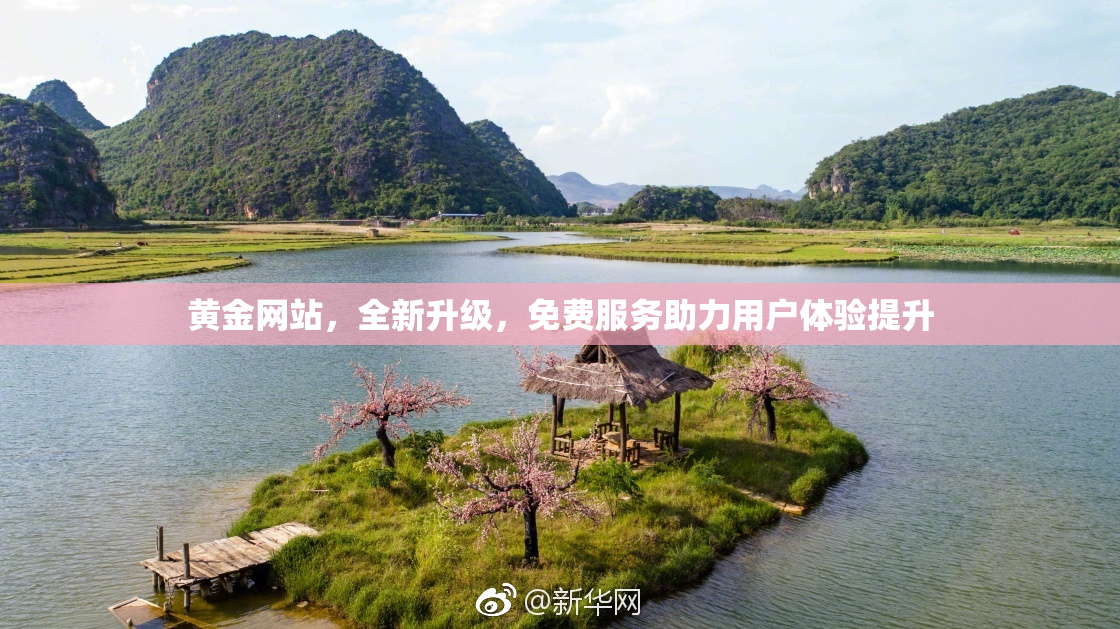 黄金网站，全新升级，免费服务助力用户体验提升