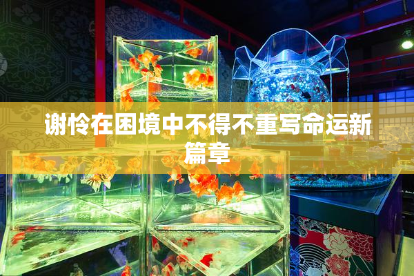 谢怜在困境中不得不重写命运新篇章
