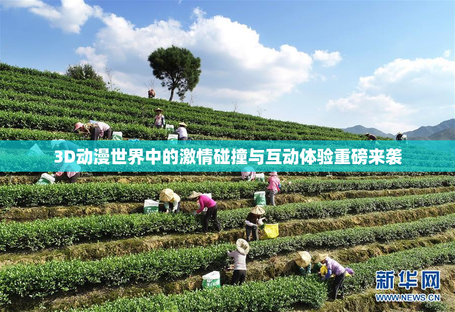 3D动漫世界中的激情碰撞与互动体验重磅来袭