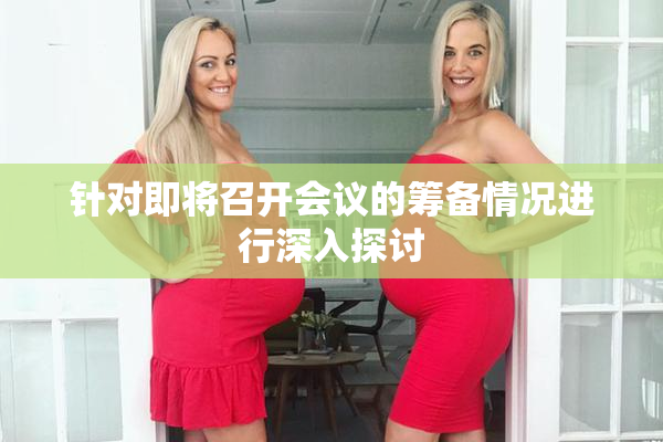 针对即将召开会议的筹备情况进行深入探讨