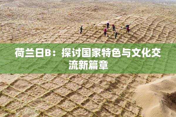 荷兰日B：探讨国家特色与文化交流新篇章