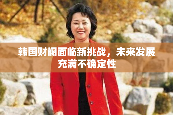 韩国财阀面临新挑战，未来发展充满不确定性