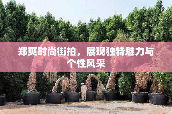 郑爽时尚街拍，展现独特魅力与个性风采