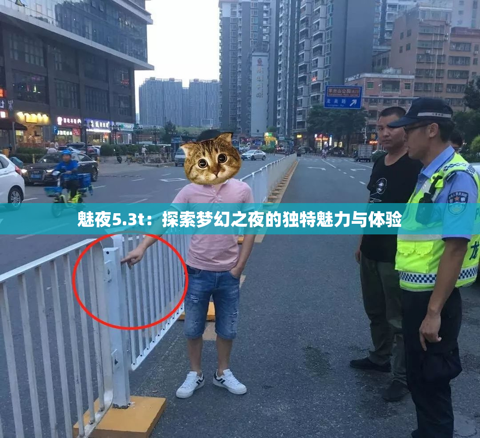 魅夜5.3t：探索梦幻之夜的独特魅力与体验